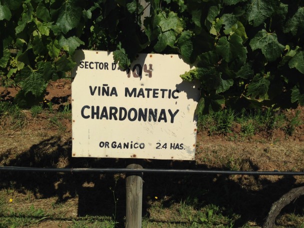 Wine Production: Going Organic
