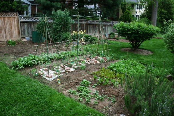 Hints On Landscaping A Dreamy Organic Garden