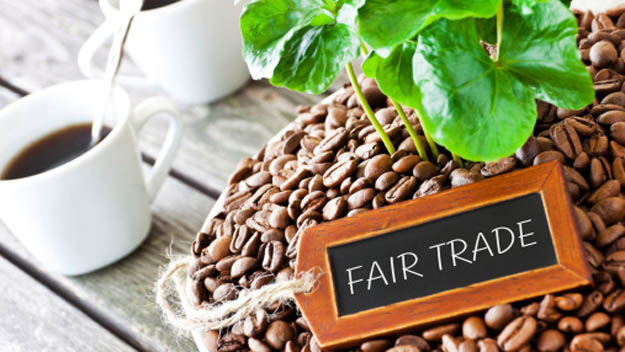 Understanding The Fair Trade Movement