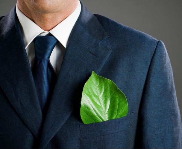 Green and Clean: How Your Business Can Be Environmentally Friendly